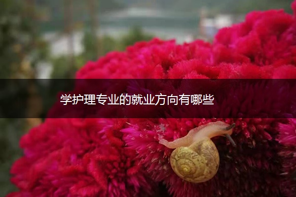 学护理专业的就业方向有哪些