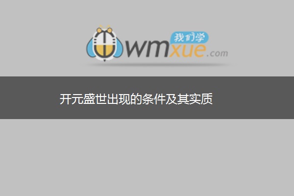开元盛世出现的条件及其实质