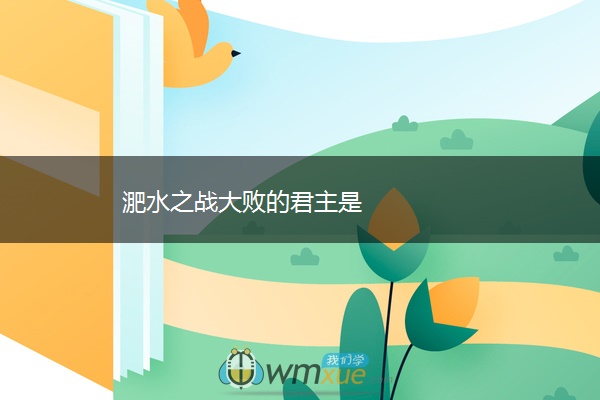 淝水之战大败的君主是
