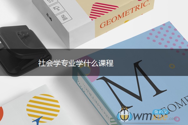 社会学专业学什么课程