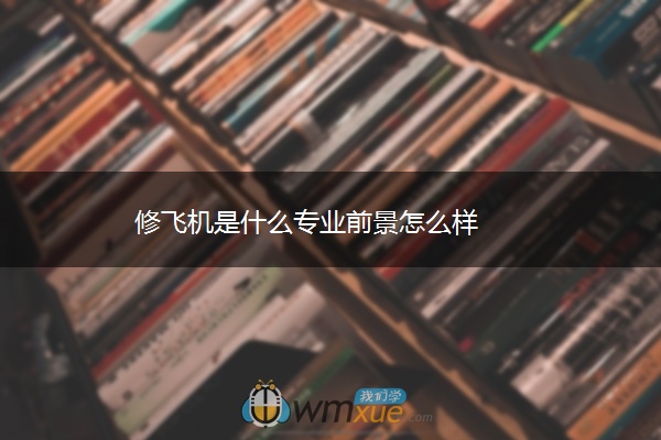 修飞机是什么专业前景怎么样