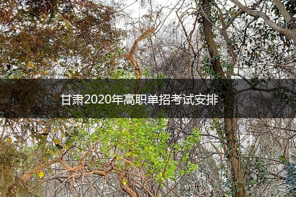 甘肃2020年高职单招考试安排