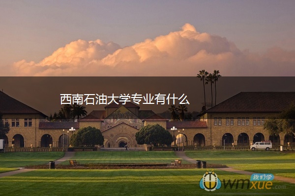 西南石油大学专业有什么