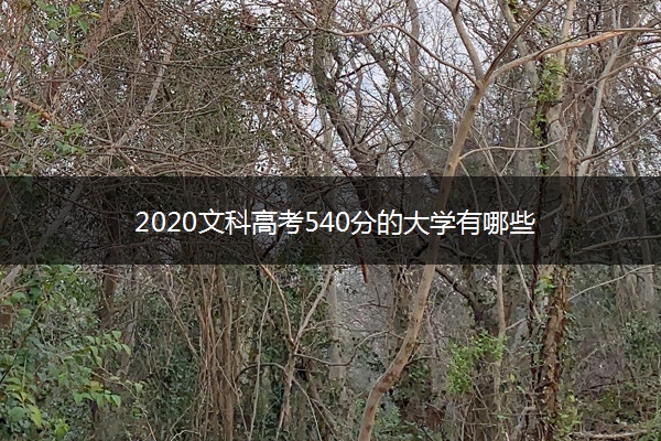 2020文科高考540分的大学有哪些