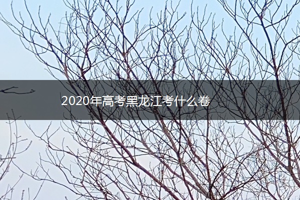 2020年高考黑龙江考什么卷