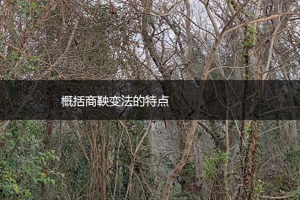 概括商鞅变法的特点