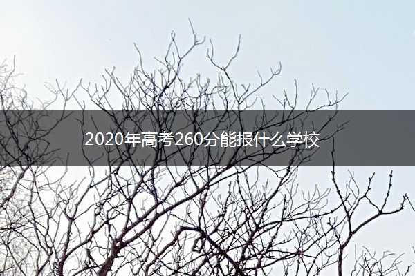 2020年高考260分能报什么学校