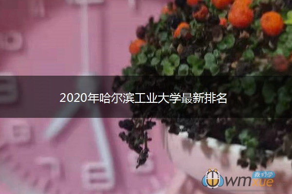 2020年哈尔滨工业大学最新排名