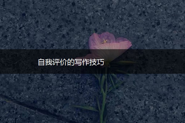 自我评价的写作技巧