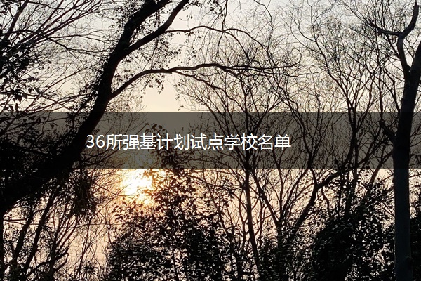 36所强基计划试点学校名单