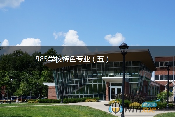 985学校特色专业（五）