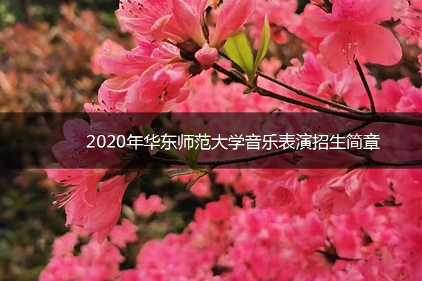 2020年华东师范大学音乐表演招生简章