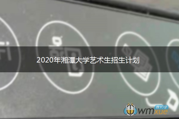 2020年湘潭大学艺术生招生计划