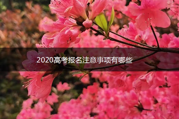 2020高考报名注意事项有哪些