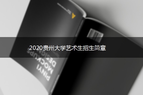 2020贵州大学艺术生招生简章