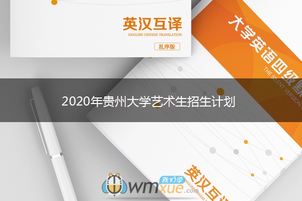 2020年贵州大学艺术生招生计划