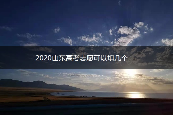 2020山东高考志愿可以填几个