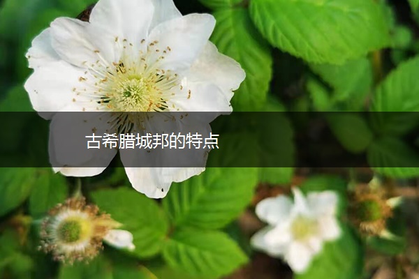 古希腊城邦的特点