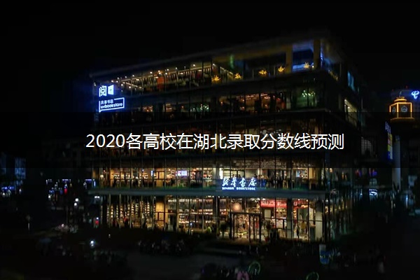 2020各高校在湖北录取分数线预测