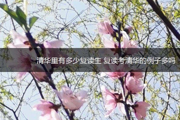 清华里有多少复读生 复读考清华的例子多吗