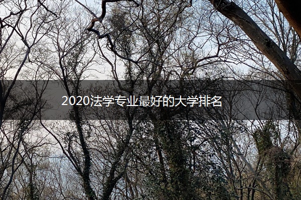 2020法学专业最好的大学排名