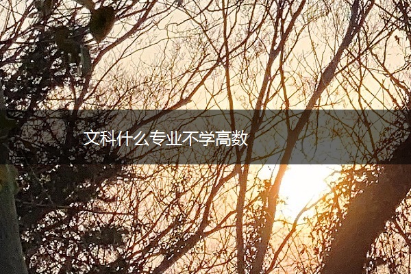 文科什么专业不学高数