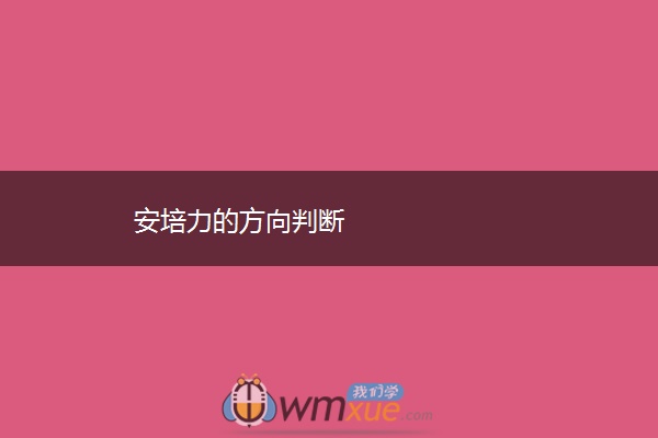 安培力的方向判断