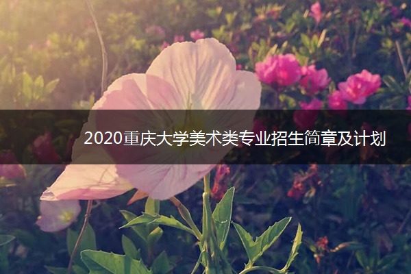 2020重庆大学美术类专业招生简章及计划