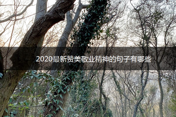 2020最新赞美敬业精神的句子有哪些