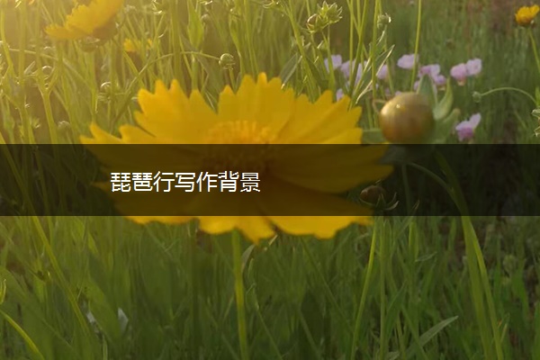 琵琶行写作背景