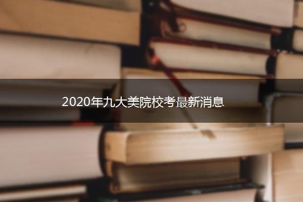 2020年九大美院校考最新消息
