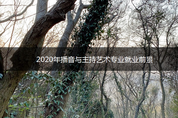 2020年播音与主持艺术专业就业前景