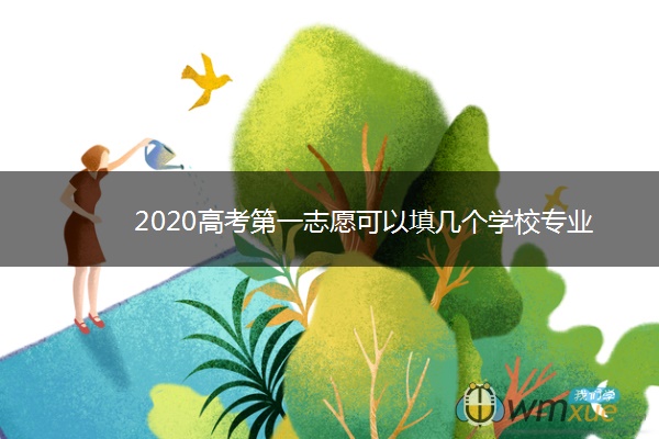 2020高考第一志愿可以填几个学校专业