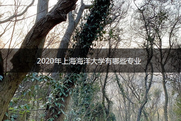 2020年上海海洋大学有哪些专业