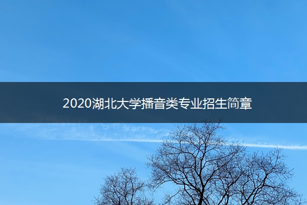 2020湖北大学播音类专业招生简章