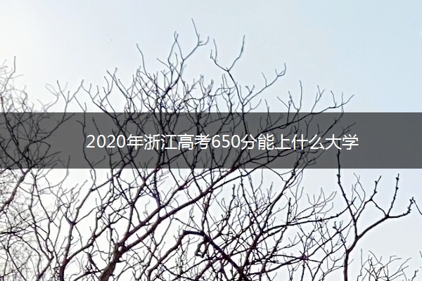 2020年浙江高考650分能上什么大学