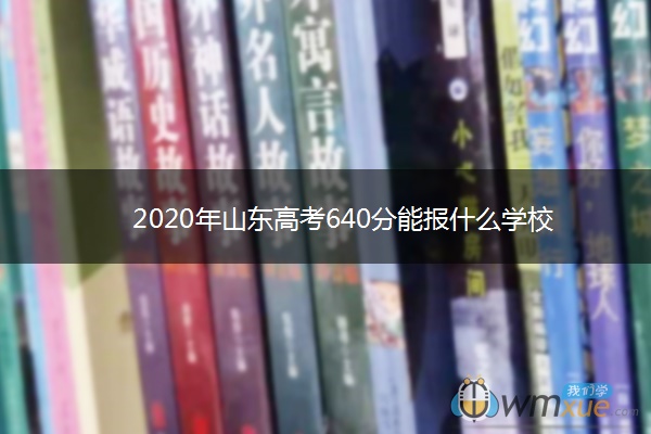 2020年山东高考640分能报什么学校