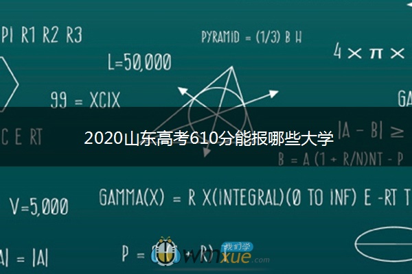 2020山东高考610分能报哪些大学