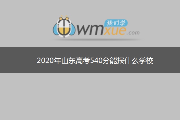 2020年山东高考540分能报什么学校