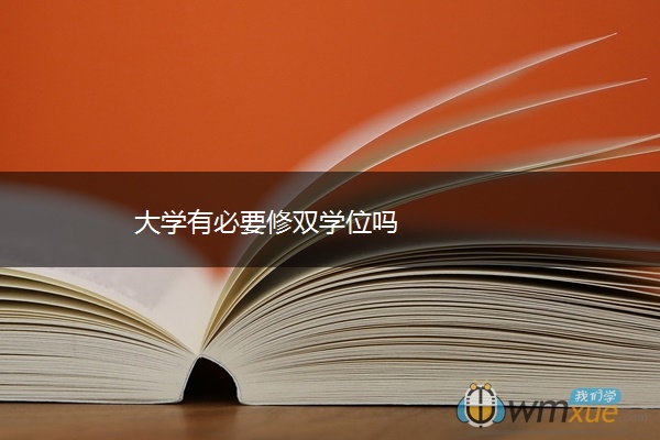 大学有必要修双学位吗