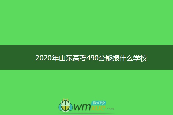 2020年山东高考490分能报什么学校