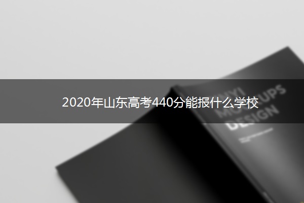 2020年山东高考440分能报什么学校