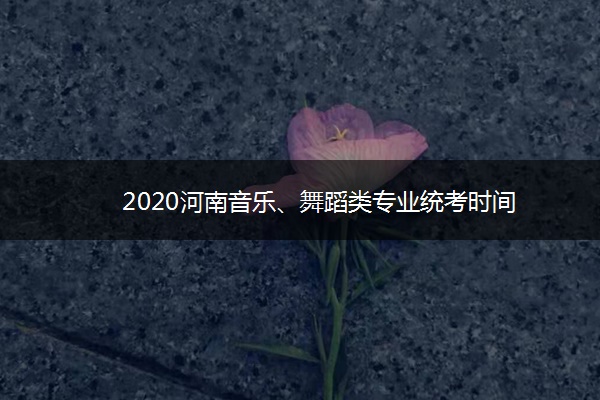 2020河南音乐、舞蹈类专业统考时间