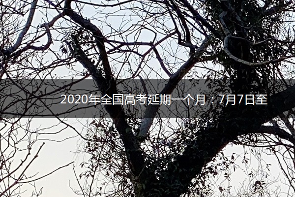 2020年全国高考延期一个月：7月7日至8日考试