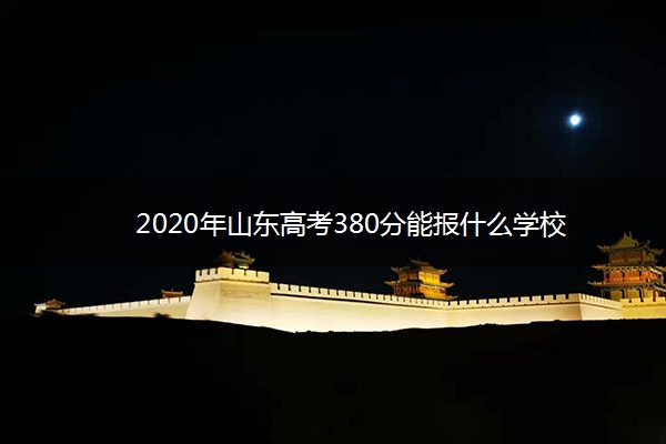 2020年山东高考380分能报什么学校