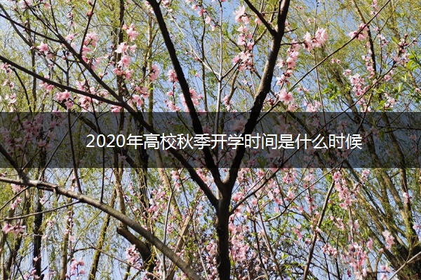 2020年高校秋季开学时间是什么时候