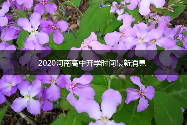 2020河南高中开学时间最新消息