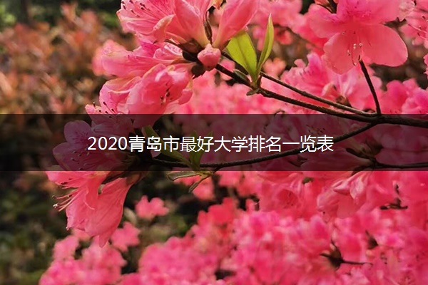 2020青岛市最好大学排名一览表