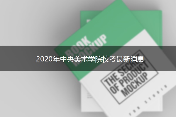 2020年中央美术学院校考最新消息