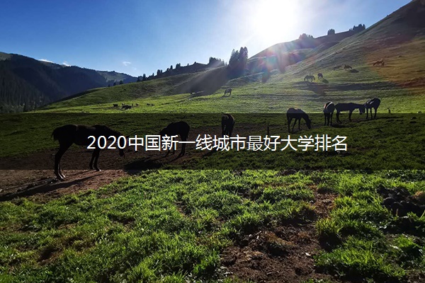 2020中国新一线城市最好大学排名